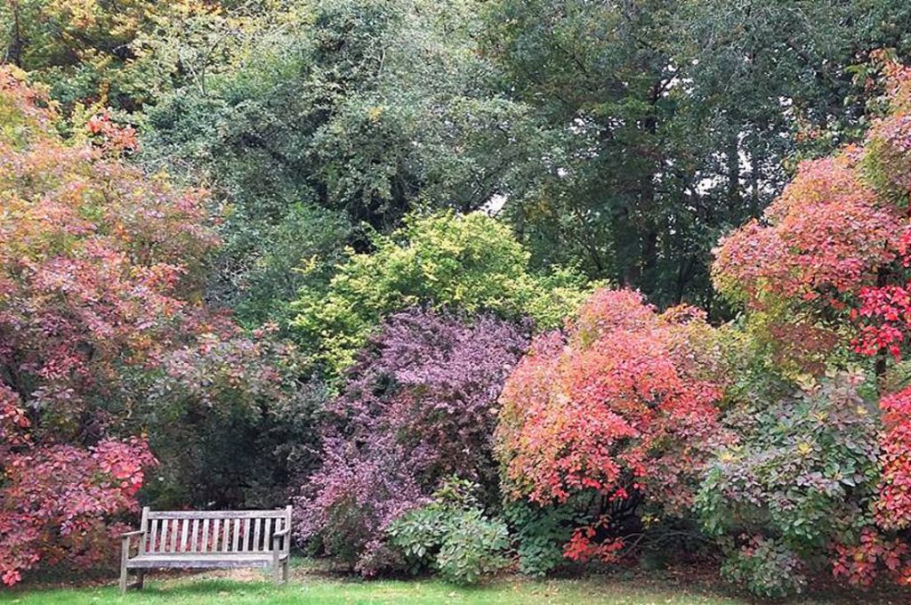 Thorp Perrow