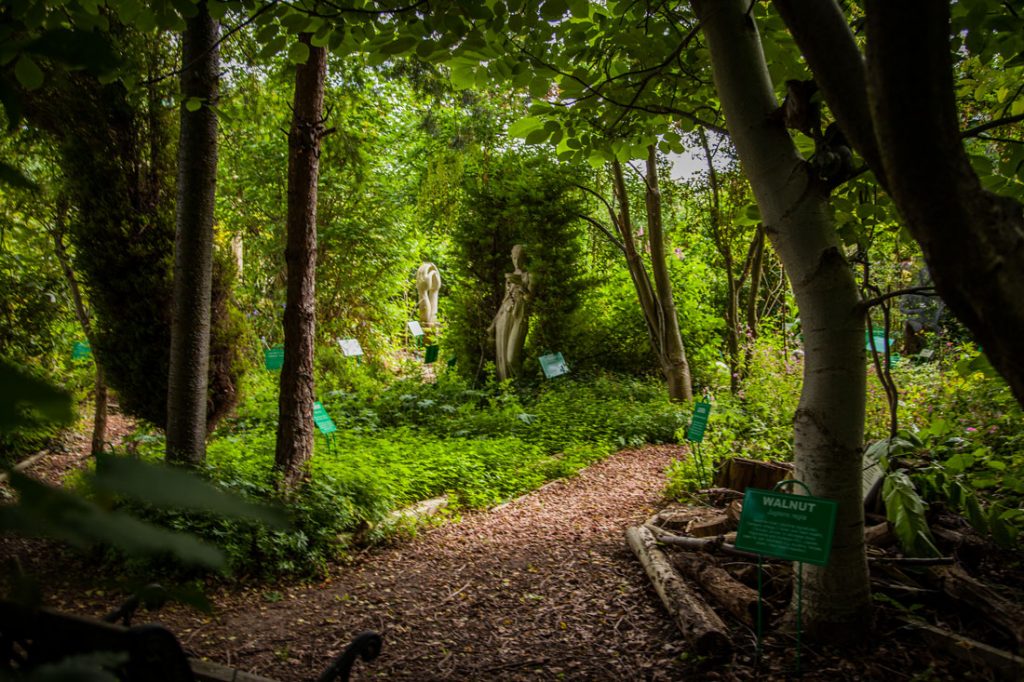 Dilston Physic Garden