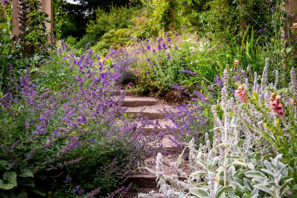 Dorothy Clive Garden