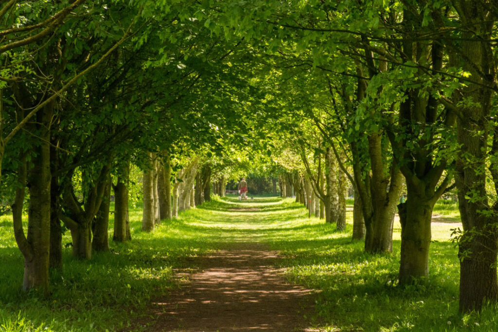 The Lovell Quinta Arboretum