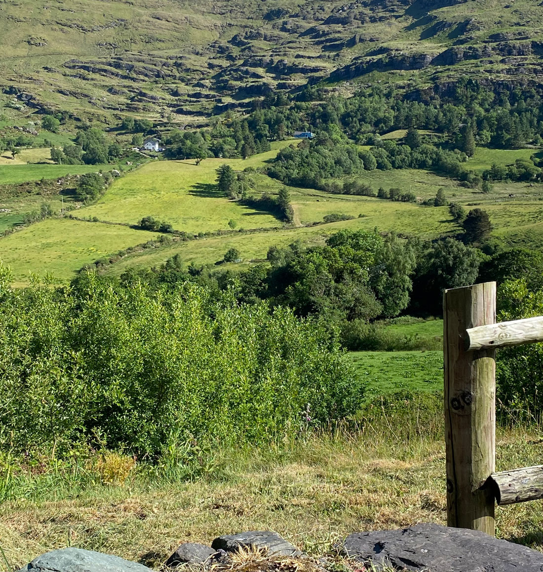 Reflection in Nature - connection and compassion | Silent Space